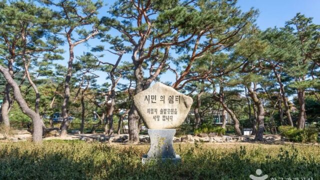 충북 의림지 솔밭공원, 자연 속 평온한 숙소 체험