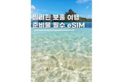 필리핀 보홀 유심 이심 가격 비교부터 설치 방법과 실제 사용 후기
