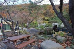 “이렇게 가까운 경주에 이런 곳이 있다고?”… 30km 거리 자연 속 힐링 명소