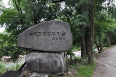 경남 대포숲 가볼만한곳, 무료 입장과 주차 정보 가이드