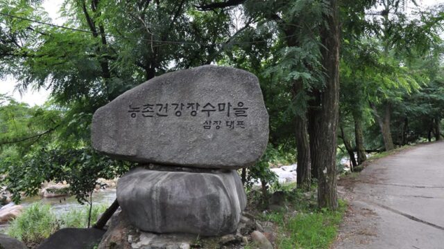 경남 대포숲 가볼만한곳, 무료 입장과 주차 정보 가이드