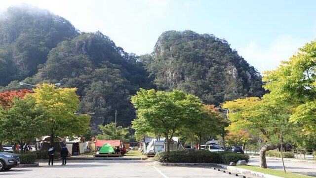 강원 팔봉산관광지 야영장, 반려견과 함께하는 자연 캠핑