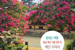 충청도 여행 충남 예산 가볼 만한 곳 | 예산 수덕사