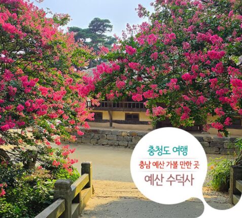 충청도 여행 충남 예산 가볼 만한 곳 | 예산 수덕사