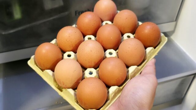 계란 보관법 그냥 냉장고에 두면 안돼요! 한번 알면 평생 유용한 계란 보관방법