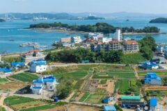 충남 영목항 가을 축제, 억새와 함께하는 항구의 매력