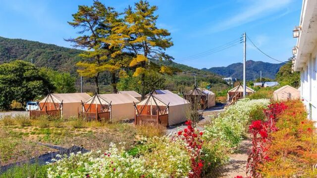 “맑은 공기와 솔향기가 가득하네요”… 충북 보은군의 자연 속 1박 힐링 여행지