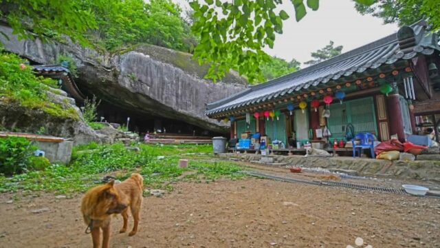 충북 석천암(괴산) 숙소, 자연 속 명상 여행지