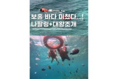 보홀 나팔링 호핑투어 히낙다난 동굴 대왕조개 단독차량 후기