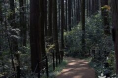 경남 통영 미래사 편백나무숲 체험, 상쾌한 산책 코스