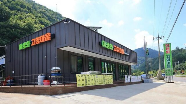 “20,000㎡ 자연 속에서 별빛이 쏟아진다고?”… 야생화 피어나는 평창의 여름 캠핑 명소