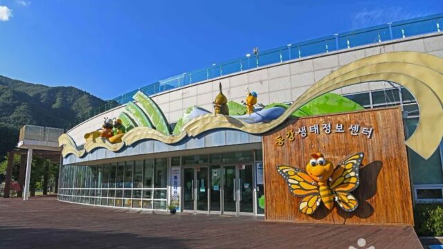 영월동강생태공원 축제, 강원 자연과 함께하는 특별한 여행
