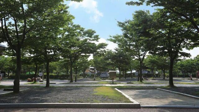 충남 태안 학암포자동차야영장, 해변 캠핑의 매력