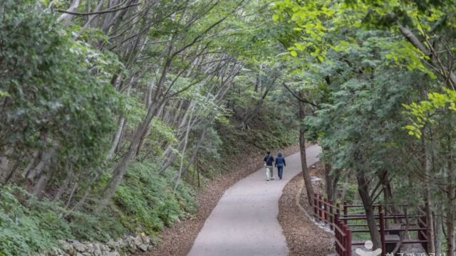 경남 금산(남해) 억새 축제, 가을의 절경을 만나다