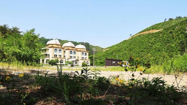 강원 밴프 야영장, 반려동물과 함께하는 자연 속 힐링 캠핑