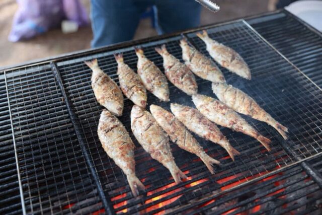 집나간 며느리마저 돌아오게 하는 전어 축제…추석 명절을 달군다 [페스티벌 플러스]