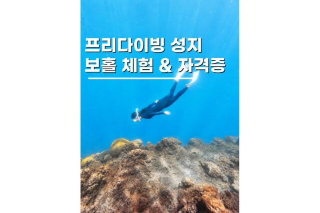 보홀 프리다이빙 강습 체험 AIDA 자격증부터 나팔링 프리다이빙까지