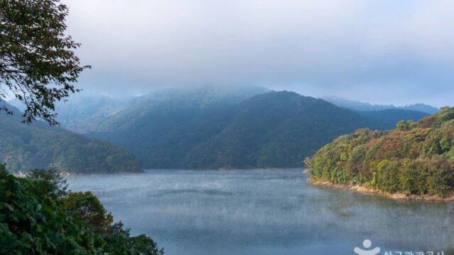 충북 제천 [청풍호자드락길 5코스] 옥순봉길 가을 숲길 산책