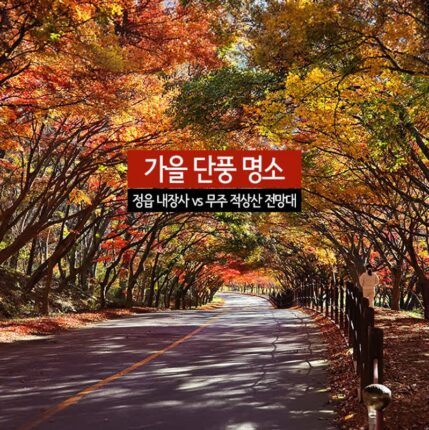 가을 단풍 명소 정읍 내장사 vs 무주 적상산 전망대
