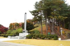 강원 홍천 무궁화공원 카페, 자연과 조화로운 공간