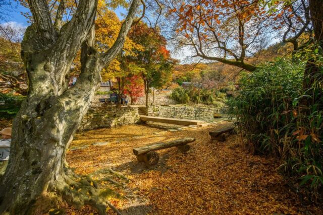 서산 9월 가볼만한곳 추천 5곳: 계절의 변화를 만끽하는 여행지