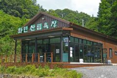 충북 화인산림욕장 숙소, 자연 속 힐링 여행지