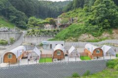 “70km만 가면 이국적인 캠핑장이라니?”… 반려견과 즐기는 특별한 여름 여행지