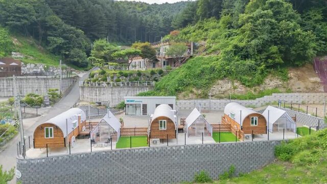 “70km만 가면 이국적인 캠핑장이라니?”… 반려견과 즐기는 특별한 여름 여행지