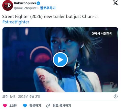 다리가 너무 얇다는 반응인 ＜스트리트 파이터＞실사판 춘리