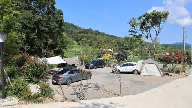 “20분만에 이런 자연이 있다니?”… 도심 가까운 도심 탈출 캠핑 명소
