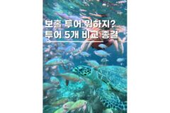 보홀투어 5가지 비교 필리핀 자유여행 고민 여기서 끝