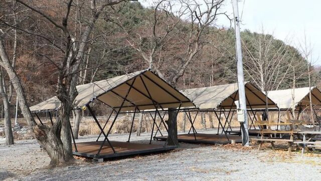 “5만 평 포도밭을 손수 딸 수 있다고?”… 자연 속 여유 찾는 명소