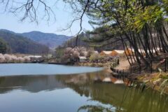 충남 판앤팜 치유정원 캠핑장, 호수와 숲속 글램핑 체험