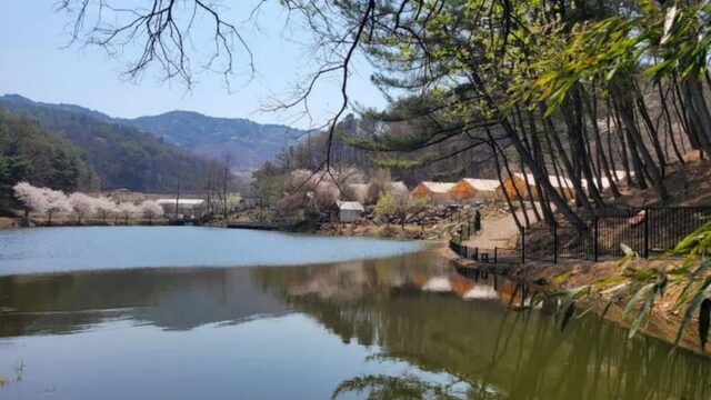 충남 판앤팜 치유정원 캠핑장, 호수와 숲속 글램핑 체험