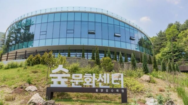 경기 물맑음수목원 축제, 가을 자연의 조화로운 아름다움