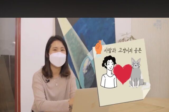 다묘가정을 위한 인테리어 디자인