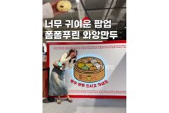 용산 아이파크몰놀거리 폼폼푸린의 와앙 만두 팝업 굿즈부터 인형까지