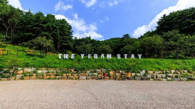 “서울서 300km 직접 가봤더니 이렇게 힐링되다니”… 산과 숲 어우러진 자연 속 글램핑 명소