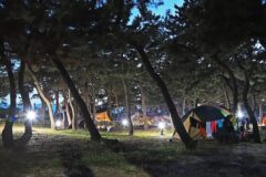 “솔향기캠핑장이 이렇게 좋다고?”… 0원 입장으로 즐기는 무장애 명소