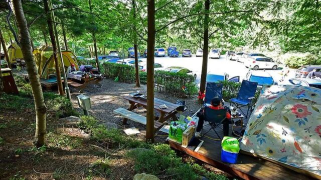 경남 대운산자연휴양림 야영장, 사계절 자연 속 휴식 명소