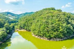 충남 기산저수지(공주) 축제, 자연과 문화의 만남