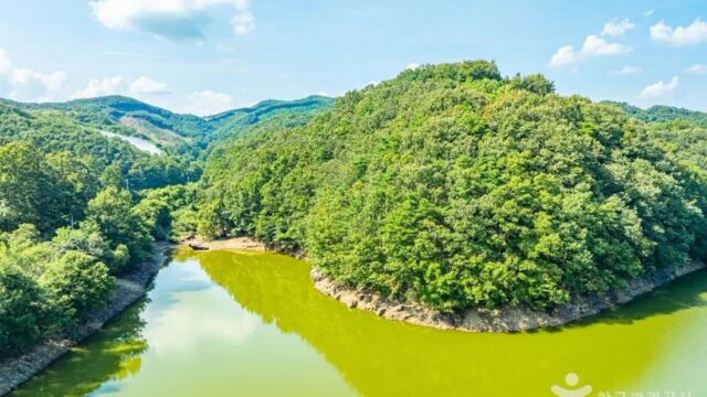 충남 기산저수지(공주) 축제, 자연과 문화의 만남