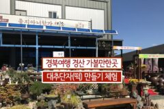 경북여행 경산 가볼만한곳 대추단자(떡) 만들기 체험
