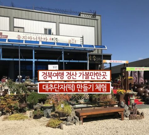 경북여행 경산 가볼만한곳 대추단자(떡) 만들기 체험