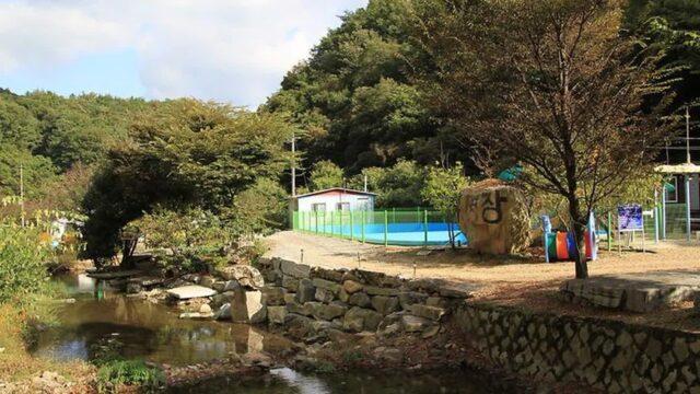 “아침 햇살에 반짝이는 10만 ㎡ 자연이라니?”… 청양 칠갑산 속 숨은 캠핑 명소