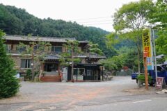 “나무 사이로 비치는 햇살, 진짜 힐링 라니”… 어비계곡 초입 53번지 명소