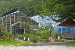 전북 강천산휴양농원, 자연 속 평온한 가을 여행지
