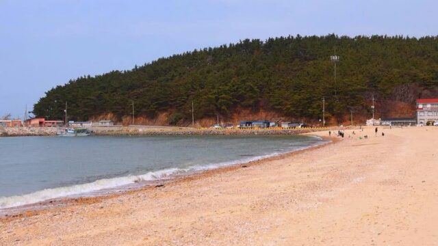 천리포해수욕장 카페, 충남 억새와 바다의 조화