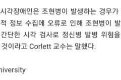 선천적 시각장애인은 조현병이 없다