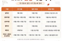 2026 단풍 예상시기, 설악산은 10월 19일 절정 전망?